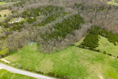 0 Parcel A Gumlick Road, Falmouth, KY 41040 - Photo 9