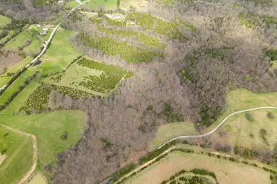 0 Parcel A Gumlick Road, Falmouth, KY 41040 - Photo 23