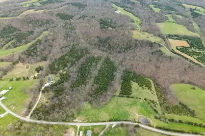 0 Parcel A Gumlick Road, Falmouth, KY 41040 - Photo 13