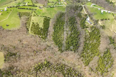 0 Parcel A Gumlick Road, Falmouth, KY 41040 - Photo 21