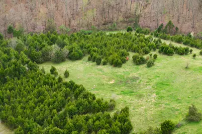 0 Parcel A Gumlick Road, Falmouth, KY 41040 - Photo 29