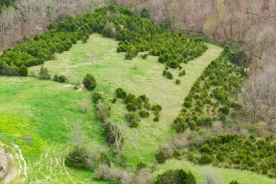 0 Parcel A Gumlick Road, Falmouth, KY 41040 - Photo 25