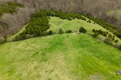 0 Parcel A Gumlick Road, Falmouth, KY 41040 - Photo 7