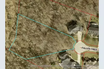 2979 Fallen Tree Court, Edgewood, KY 41017 - Photo 3