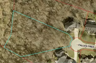 2979 Fallen Tree Ct, Edgewood, KY 41017 - Photo 3