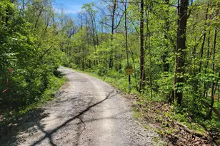 1557 Beaver Rd, Walton, KY 41094 - Photo 35