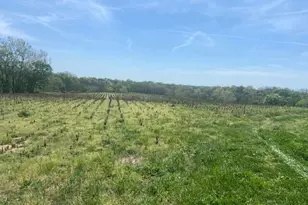61000 US Hwy 68, Mays Lick, KY 41055 - Photo 15