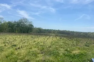 61000 US Hwy 68, Mays Lick, KY 41055 - Photo 13