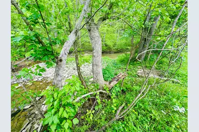 45 Acres Chipman Ridge Road #43 Acres, +/-, Williamstown, KY 41097 - Photo 13