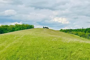 45 Acres Chipman Ridge Rd, Williamstown, KY 41097 - Photo 1