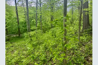 45 Acres Chipman Ridge Road #43 Acres, +/-, Williamstown, KY 41097 - Photo 11