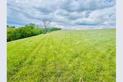 45 Acres Chipman Ridge Road #43 Acres, +/-, Williamstown, KY 41097 - Photo 7