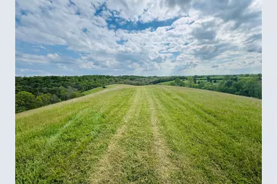 45 Acres Chipman Ridge Road #43 Acres, +/-, Williamstown, KY 41097 - Photo 5