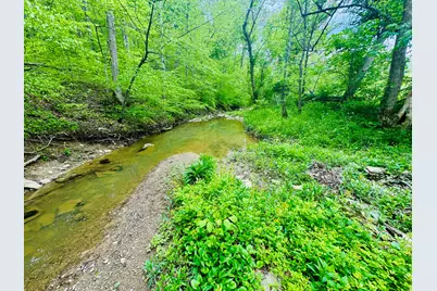45 Acres Chipman Ridge Road #43 Acres, +/-, Williamstown, KY 41097 - Photo 15