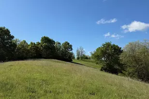 11 19 Ac Chipman Ridge Rd, Williamstown, KY 41097 - Photo 7