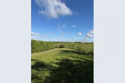 11.19 Ac Chipman Ridge Road, Williamstown, KY 41097 - Photo 5