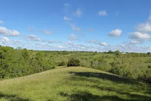 11 19 Ac Chipman Ridge Rd, Williamstown, KY 41097 - Photo 5