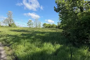 11 19 Ac Chipman Ridge Rd, Williamstown, KY 41097 - Photo 3