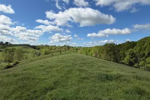 14 17 Ac Chipman Ridge Rd, Williamstown, KY 41097 - Photo 7