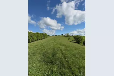 14.17 Ac Chipman Ridge Road, Williamstown, KY 41097 - Photo 11