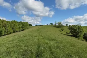 14 17 Ac Chipman Ridge Rd, Williamstown, KY 41097 - Photo 11