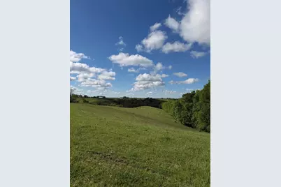14.17 Ac Chipman Ridge Road, Williamstown, KY 41097 - Photo 5