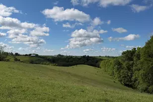 14 17 Ac Chipman Ridge Rd, Williamstown, KY 41097 - Photo 5