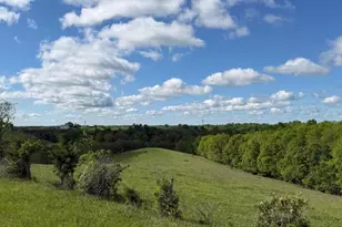 14 17 Ac Chipman Ridge Rd, Williamstown, KY 41097 - Photo 3