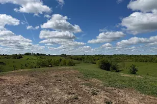 20 99 Ac Chipman Ridge Rd, Williamstown, KY 41097 - Photo 13