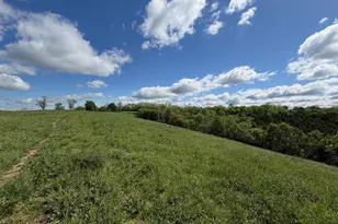 24 81 Ac Chipman Ridge Rd, Williamstown, KY 41097 - Photo 11