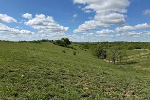24 81 Ac Chipman Ridge Rd, Williamstown, KY 41097 - Photo 5