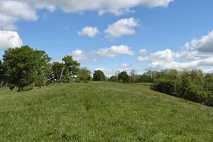 24 81 Ac Chipman Ridge Rd, Williamstown, KY 41097 - Photo 13