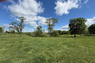 24 81 Ac Chipman Ridge Rd, Williamstown, KY 41097 - Photo 7