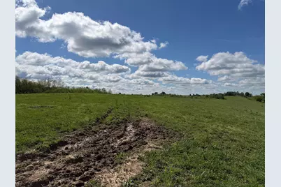 24.81 Ac Chipman Ridge Road, Williamstown, KY 41097 - Photo 15