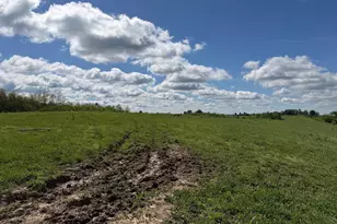 24 81 Ac Chipman Ridge Rd, Williamstown, KY 41097 - Photo 15