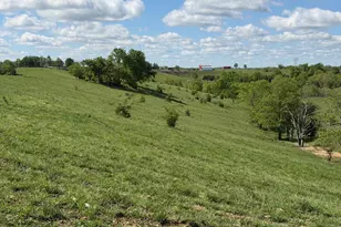24 81 Ac Chipman Ridge Rd, Williamstown, KY 41097 - Photo 3