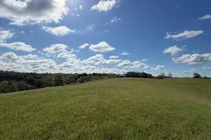32 28 Ac Chipman Ridge Rd, Williamstown, KY 41097 - Photo 9