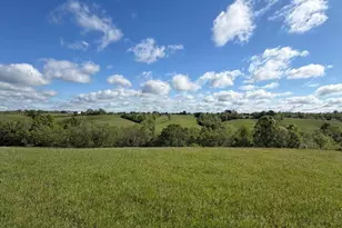 32 28 Ac Chipman Ridge Rd, Williamstown, KY 41097 - Photo 7