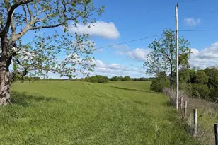 32 28 Ac Chipman Ridge Rd, Williamstown, KY 41097 - Photo 5