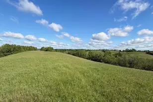 32 28 Ac Chipman Ridge Rd, Williamstown, KY 41097 - Photo 3
