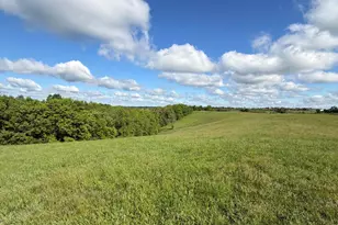 5 11 Ac Chipman Ridge Rd, Williamstown, KY 41097 - Photo 3