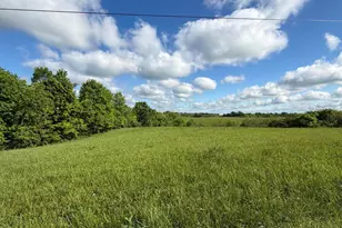 5 28 Ac Chipman Ridge Rd, Williamstown, KY 41097 - Photo 3