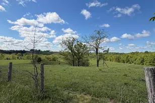 6 93 Ac Chipman Ridge Rd, Williamstown, KY 41097 - Photo 5