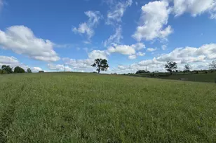 6 93 Ac Chipman Ridge Rd, Williamstown, KY 41097 - Photo 7
