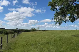 6 93 Ac Chipman Ridge Rd, Williamstown, KY 41097 - Photo 3
