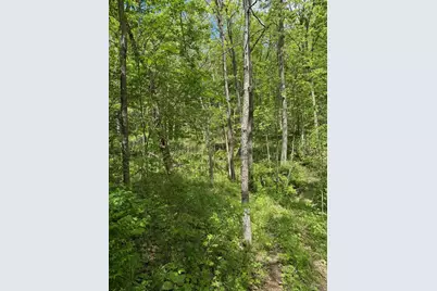 3486 Rankin Mill Road, Falmouth, KY 41040 - Photo 43