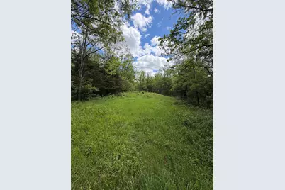 3486 Rankin Mill Road, Falmouth, KY 41040 - Photo 45
