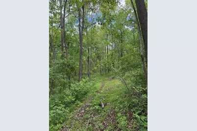 3486 Rankin Mill Road, Falmouth, KY 41040 - Photo 39