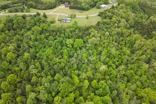 609 Concord Caddo Rd, Falmouth, KY 41040 - Photo 13
