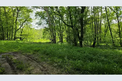 Tract 2 Folsom Jonesville Road, Glencoe, KY 41046 - Photo 9